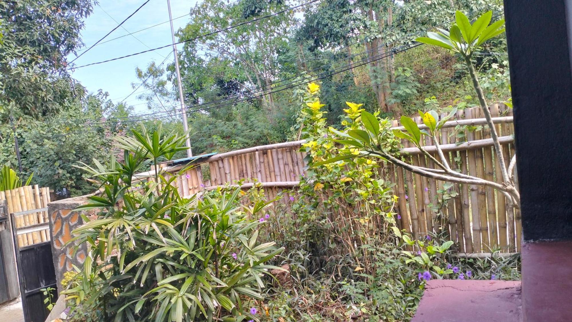Palm Homestay Kuta Kuta  المظهر الخارجي الصورة