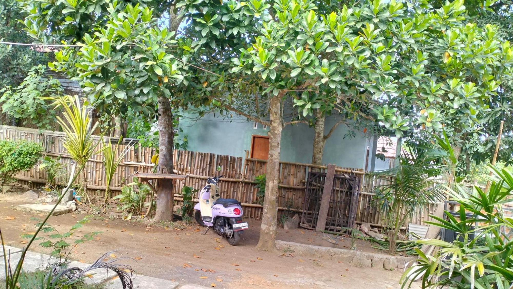 Palm Homestay Kuta Kuta  المظهر الخارجي الصورة