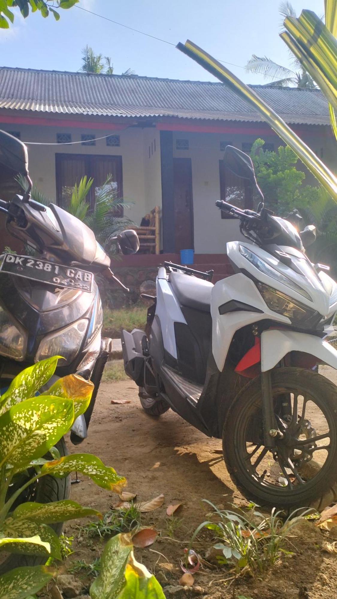 Palm Homestay Kuta Kuta  المظهر الخارجي الصورة