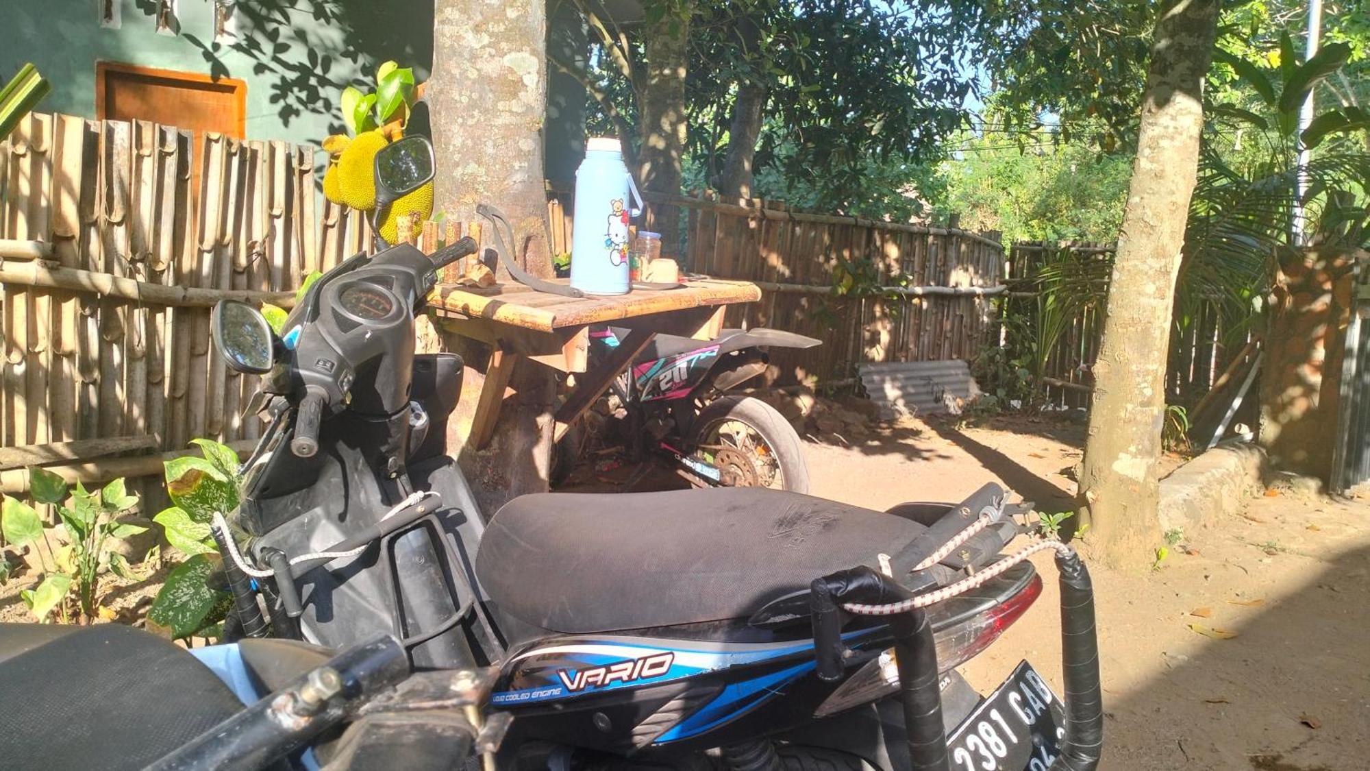 Palm Homestay Kuta Kuta  المظهر الخارجي الصورة