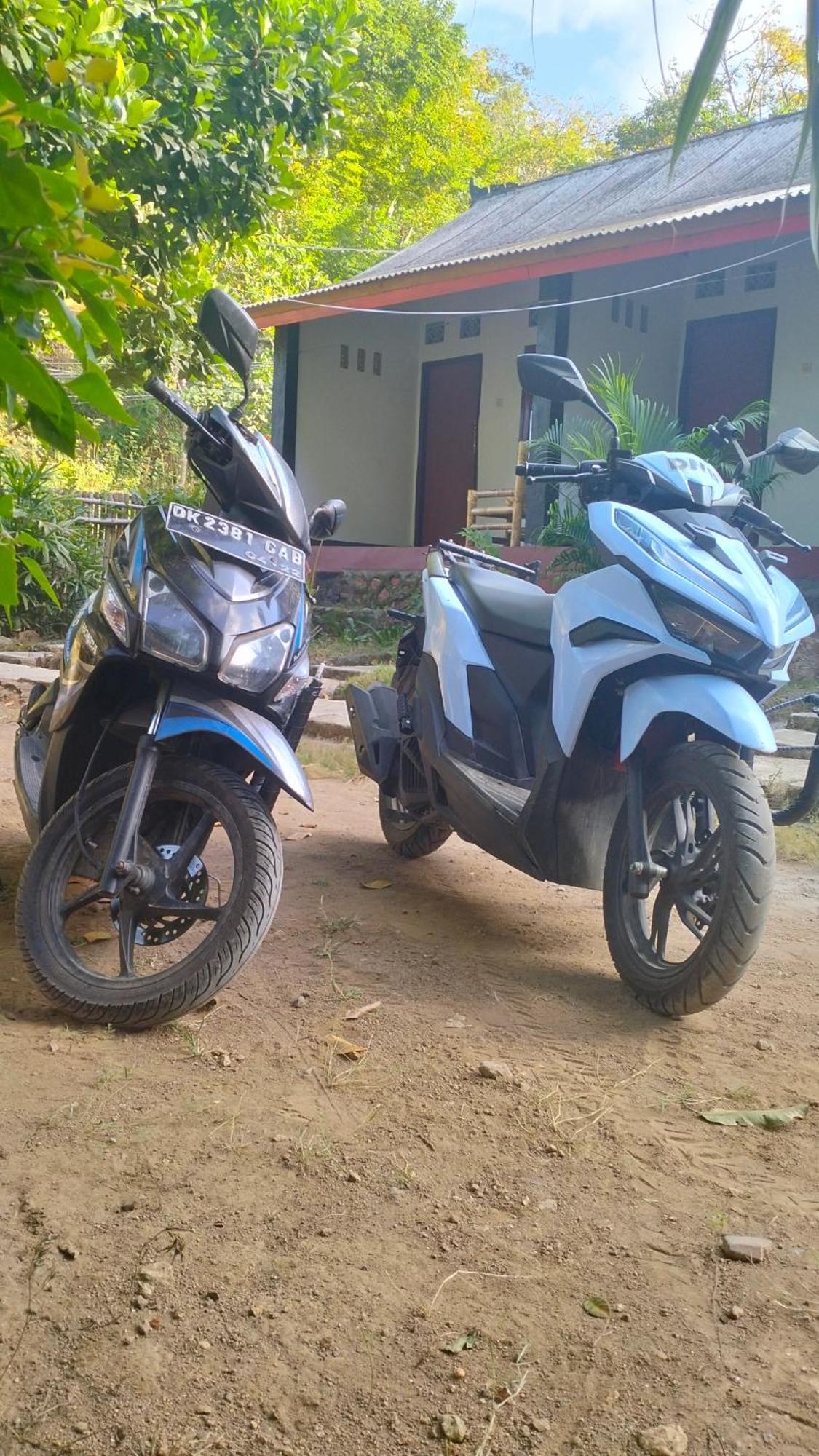 Palm Homestay Kuta Kuta  المظهر الخارجي الصورة